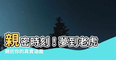 夢到老虎親近|【夢到老虎親近】夢到老虎親近！代表什麼徵兆？揭開老虎入夢的。